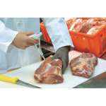 Testo 205 - Handheld T-bar meat pH meter