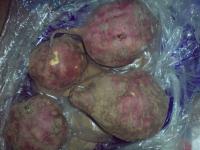 * * * * * SUPPLIER UBI UNGU* * * * * ISI PUTIH KEKUNING KUNINGAN* * * * *