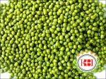 Kacang Hijau - Mung Bean - Karya Baru Indonesia
