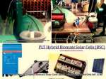 PLT Biomassa Solar Cells - Hybrid Power Plants Biomass Solar Cells ( BSC)