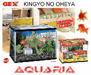 Akuarium Set GEX GF-Black � GEX GF-Black Aquarium Set