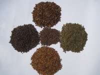 CM ( Colopogonium Mucunoides ) , CP ( Centrocema Pubescens ) , PJ ( Pueraria Javanica ) , CC ( Colopogonium Caeruleum ) , MC ( Mucuna Cochinensis ) .