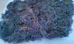Dried Gracilaria Seaweeds
