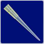 Pipette Tips,  200uL,  bulk