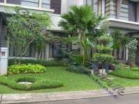 Rumput Tanaman | Tukang Taman | Info : 021 834 99515