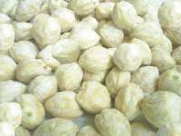 * * * * * SUPPLIER KEMIRI * * * * *